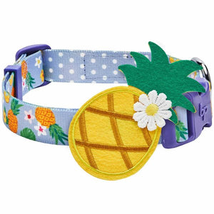 Zesty Fruit Dog Collar - Pineapple - Posh Puppy Boutique