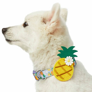 Zesty Fruit Dog Collar - Pineapple - Posh Puppy Boutique