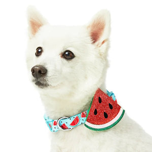 Zesty Fruit Dog Collar - Watermelon - Posh Puppy Boutique