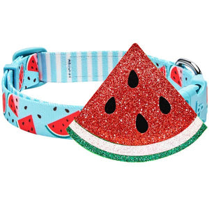 Zesty Fruit Dog Collar - Watermelon - Posh Puppy Boutique