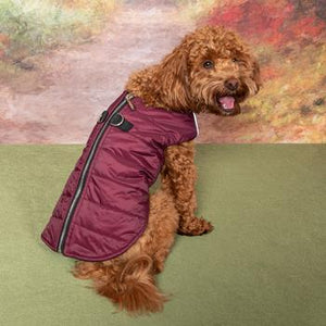 Zip - up Dog Puffer Vest - Burgundy - Posh Puppy Boutique