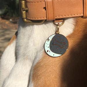 Zodiac Pet ID Tag - Posh Puppy Boutique