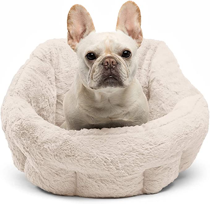 The Chewy V Luxe Beds