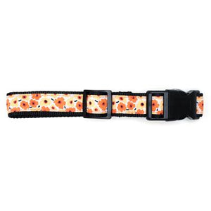 Fleurs Collar & Lead Collection