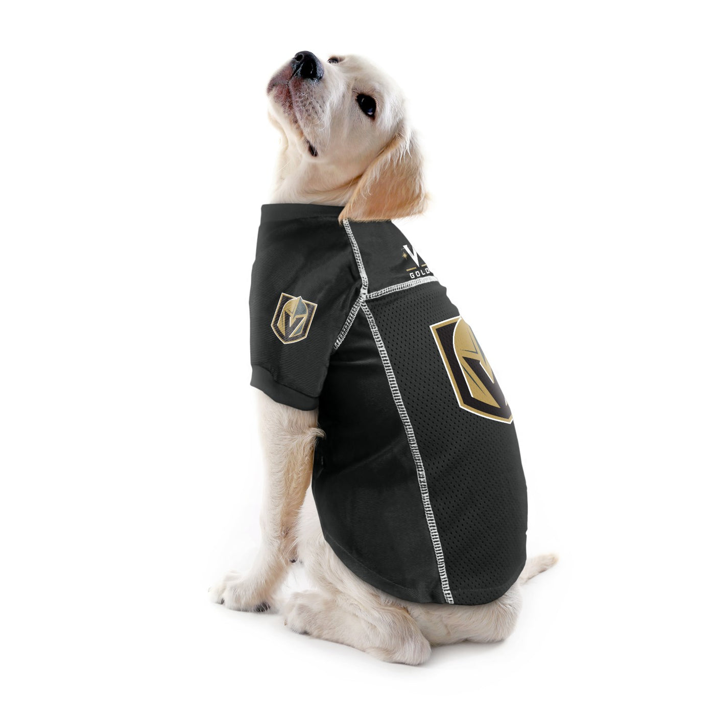 Pet Supplies : NHL Chicago Blackhawks Pet Dog Premium Mesh Vest Harness  Small 
