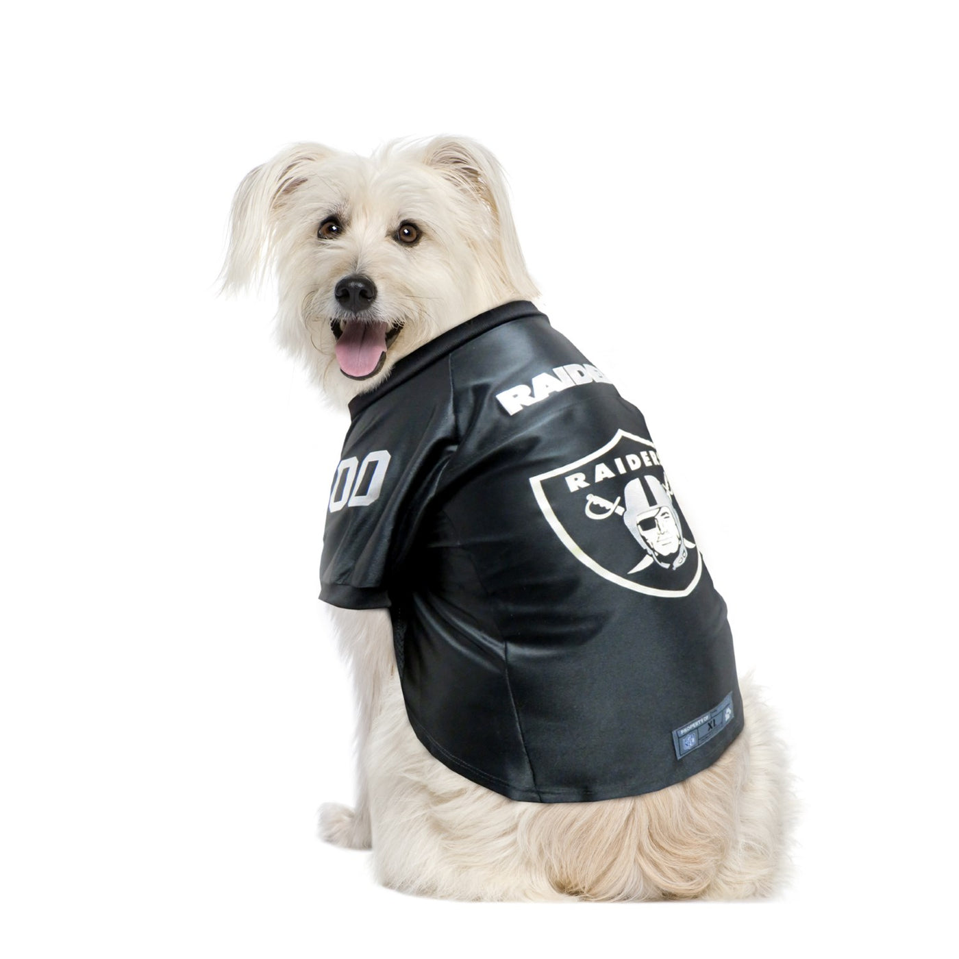 Official Las Vegas Raiders Dog Jerseys, Raiders Pet Leash, Collar, Las  Vegas Raiders Pet Carrier
