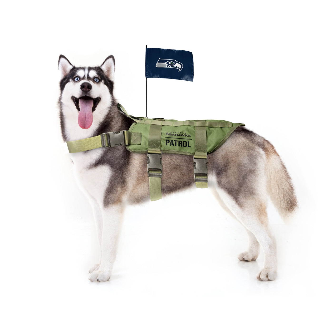 Seattle Seahawks  Pet Products at Discount Pet Deals