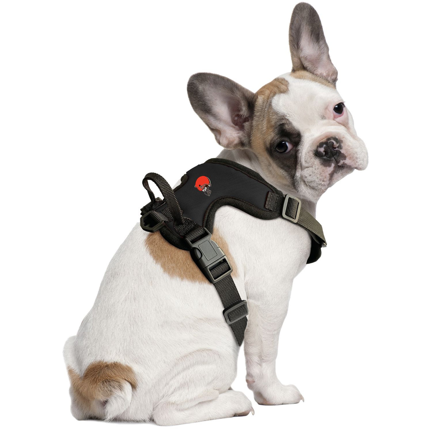 Cleveland Browns Front Clip Pet Harness – Posh Puppy Boutique