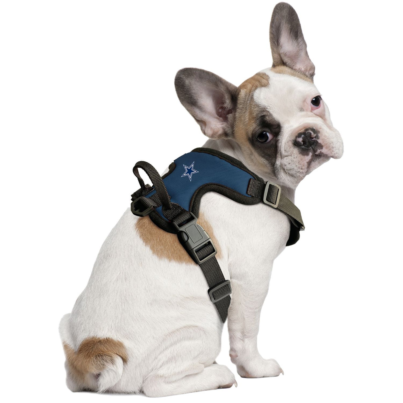 Dallas Cowboys Front Clip Pet Harness – Posh Puppy Boutique