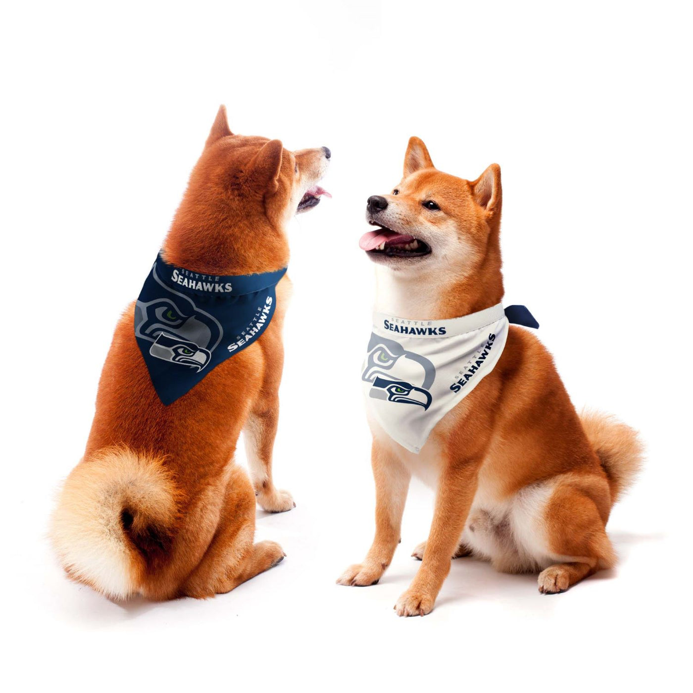 Packers Home & Away Pet Bandana Set