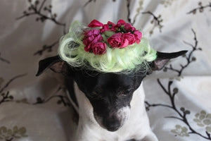 Wig with Flowers - Posh Puppy Boutique