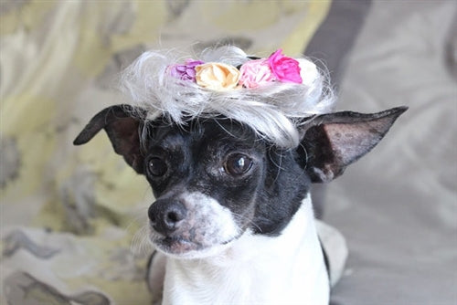 White Wig with Pink Flowers