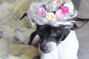 White Wig with Pink Flowers - Posh Puppy Boutique