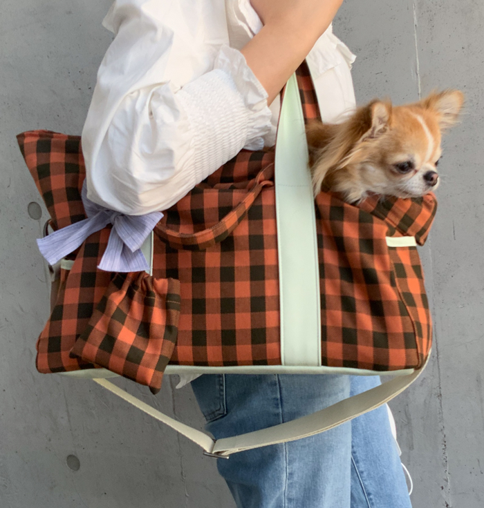 Louis Dog Smoothie Bag in Orange Check