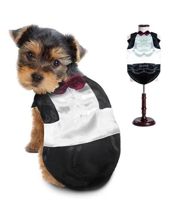 Tuxedo Dog Costume