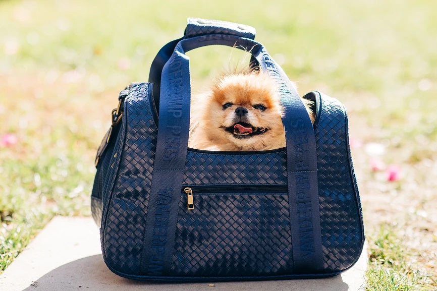 Luxury Designer Dog Carriers  Luxury Designer Pet Carrier